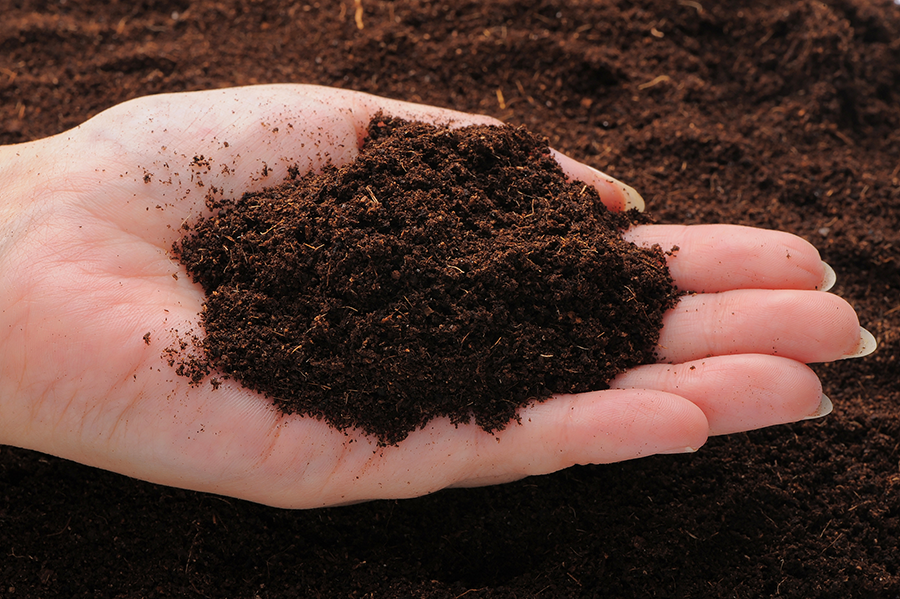 堆肥化の問題点を解決するための具体策