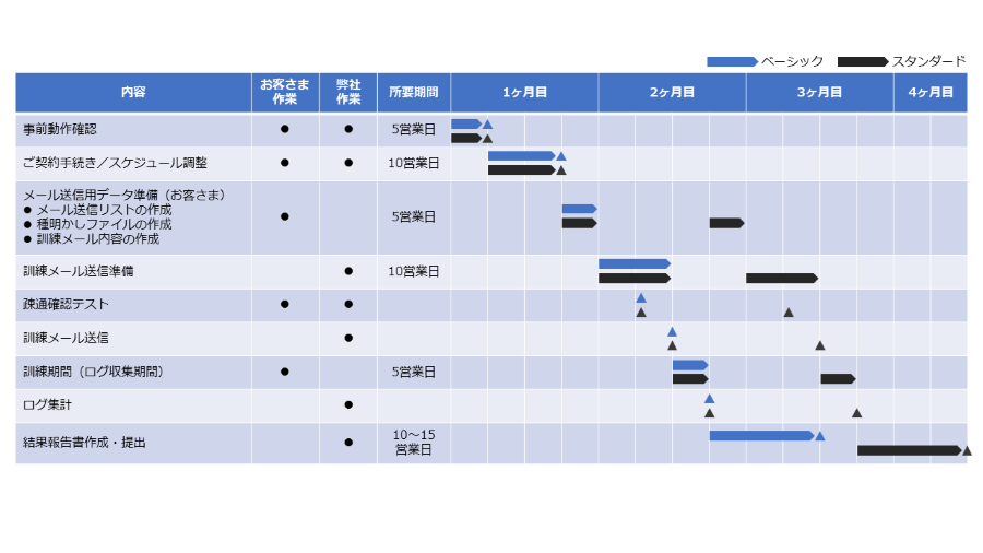 実施スケジュール例