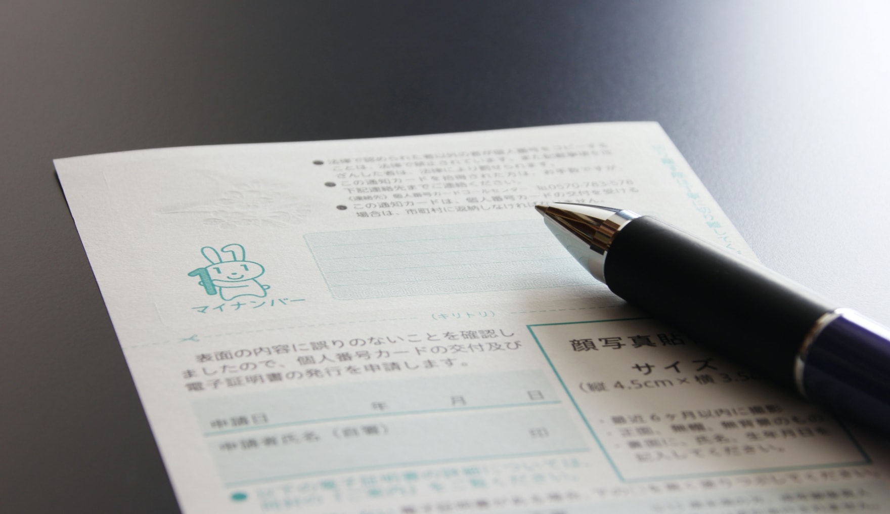 マイナンバー対応サービス