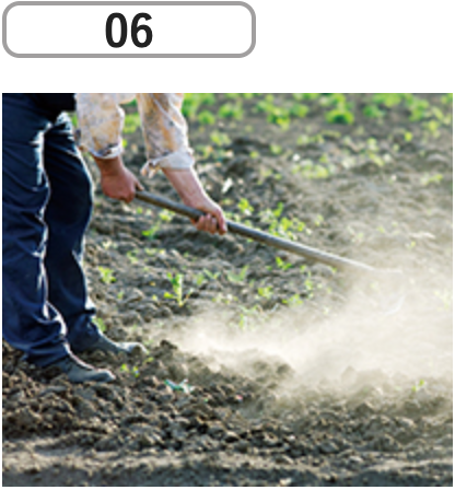 06 作られた堆肥は農作物生産者に提供、安全・安心な野菜の生産のために使用