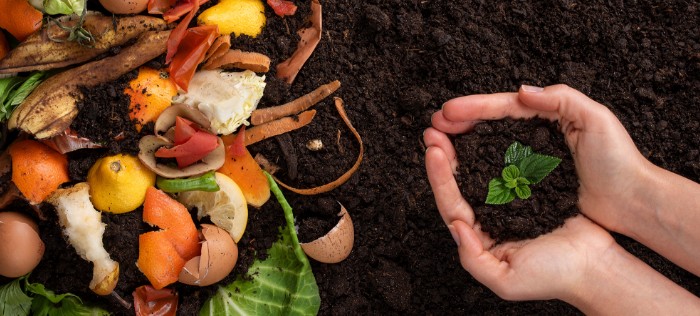 地域食品資源循環ソリューション