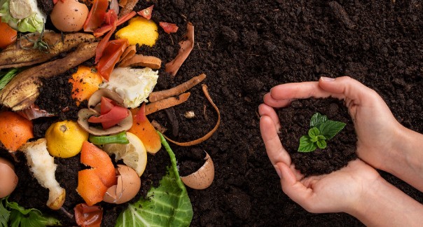 地域食品資源循環ソリューション