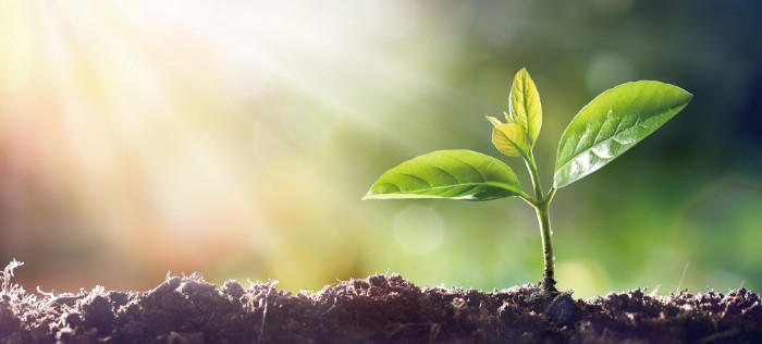 汚泥肥料化パッケージ