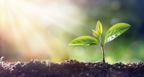 汚泥肥料化パッケージ