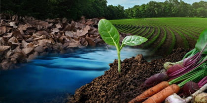 資源循環ソリューション