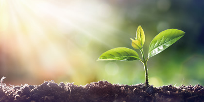 汚泥肥料化パッケージ