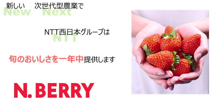 nberry1.jpg